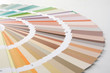 Close-up of a color palette on white background