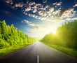 road in Russian forest