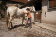 enfant pansage cheval 4