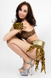 Hot beautiful model in leopardess costume.