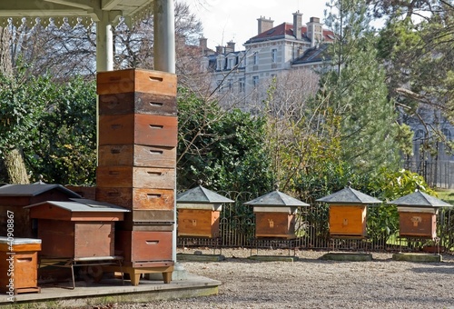 Photo: ruches en ville (Paris France) ruches en ville (Paris France)
