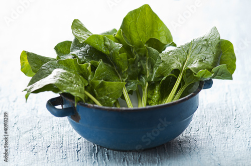 Photo: Spinach Spinach