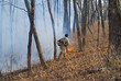 Suppression of forest fire 88