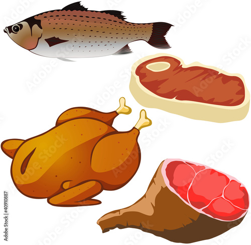 Vector: meat isolated on white background meat isolated on white background