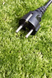 Moss electricity