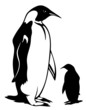 penguin vector illustration