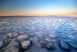 Winter landscape