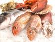 Frischer Fisch auf Eis
