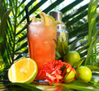 Tequila Sunrise