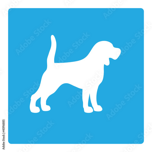 Vector: dog outline on blue background dog outline on blue background