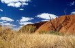Landscape near Uluru (Ayers Rock), Australia