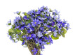 Bouquet from first springs flowers