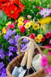 Gartenwerkzeug