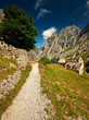 Landscape of high mountains at summer in Spain