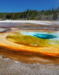 Yellowstone NP