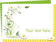 carte "marguerites"