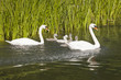 Familienausflug