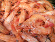 Shrimp