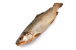 close-up of smoked trout oin white background