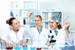 Young scientists working in laboratory