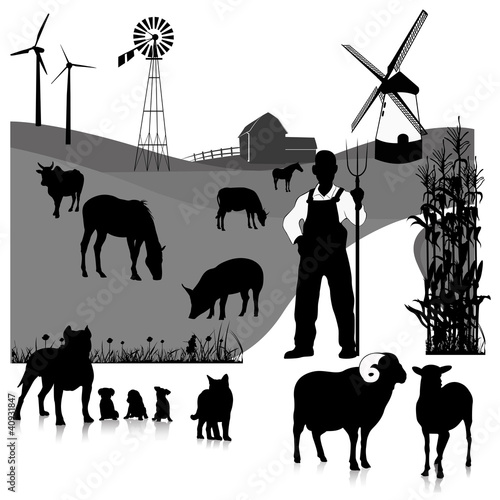 Vector: Vector set illustration: farm animals isolated on white Vector set illustration: farm animals isolated on white