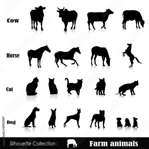 Vector: Vector set illustration: farm animals isolated on white Vector set illustration: farm animals isolated on white