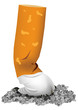 Photo en ligne au meilleur prix Braised, smoked, with a crumpled cigarette ashes.
