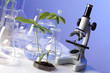 Green plants in biology laborotary