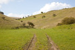 Yorkshire Wolds Countryside