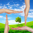 Human hands and green plant