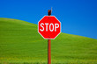 Red Stop Sign Green Wheat Grass Blue Skies Palouse Washington
