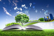 Open book with green nature world