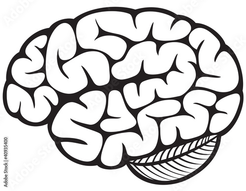 Vector: The human brain The human brain