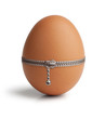 Photo: Egg, buttoned with a zipper Egg, buttoned with a zipper