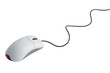 The white plastic computer mouse
