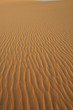 egypte, désert 2