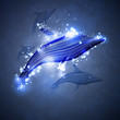 Neon dolphin, abstract strip, stylish illustration eps10