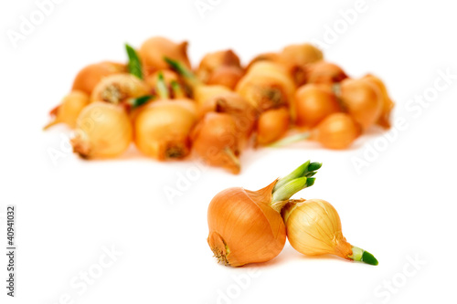 Photo: Fresh bulbs of onion on a white background. Fresh bulbs of onion on a white background.