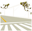 Crosswalk and dividing line on road