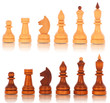 Chess. a group of white and black wooden chess pieces