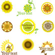 Set of sunflowers