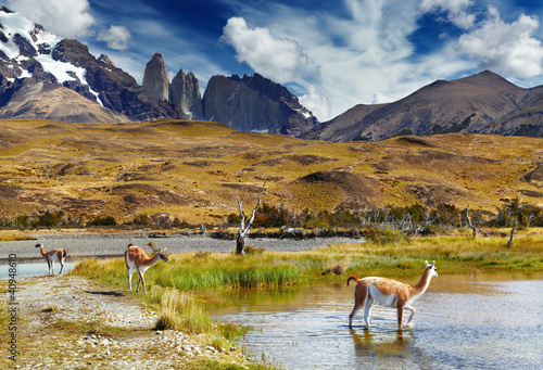 Photo: Torres del Paine, Patagonia, Chile Torres del Paine, Patagonia, Chile