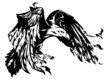 flying eagle vector illustration