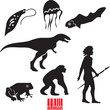 Human evolution. Animal evolution vector set.