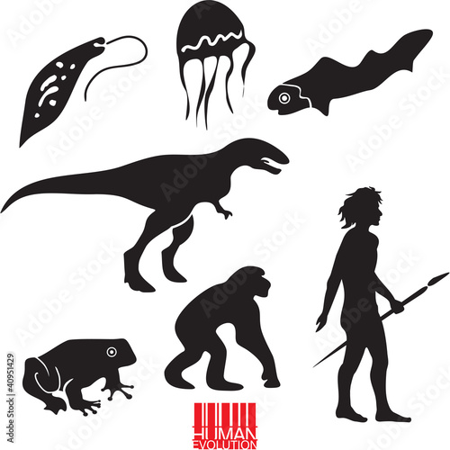 Vector: Human evolution. Animal evolution vector set. Human evolution. Animal evolution vector set.