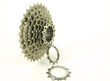 Bike Chain and Rear Cassette of a Mountain Bike