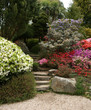 Garten im Fruehling