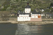 Pfalzgrafenstein, Burg, Pfalz