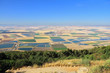 Picturesque squares colored fields of the valley of Galilee Picturesque squares colored fields of the valley of Galilee