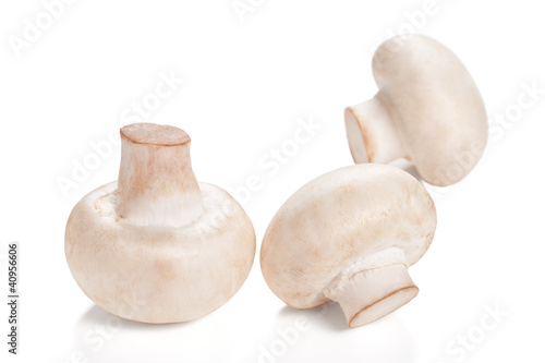 Photo: Fresh Mushrooms champignon Isolated on a white background Fresh Mushrooms champignon Isolated on a white background